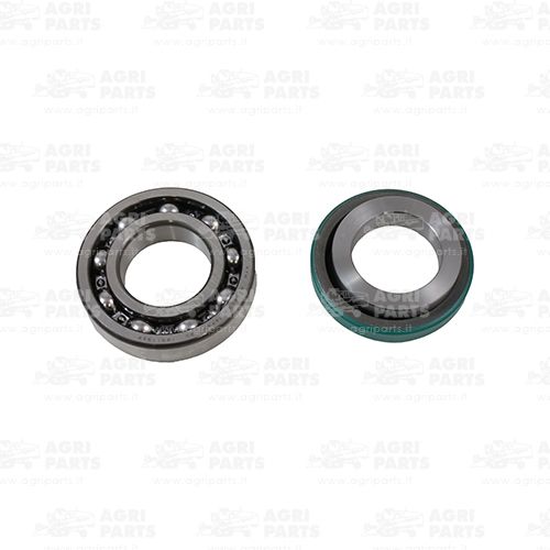 Комплект підшипників кулькових (18AP005192) Agri Parts S.R.L.
