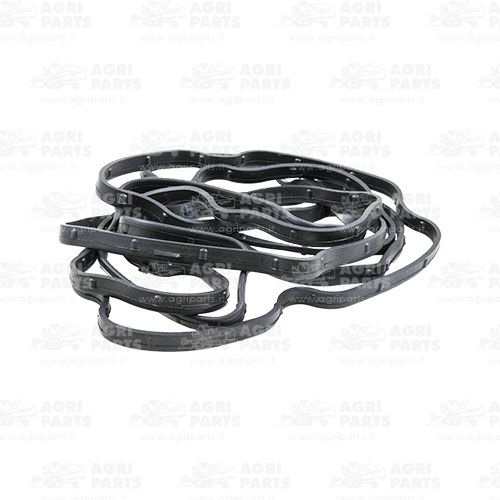 Прокладка (18AP006642) Agri Parts S.R.L.