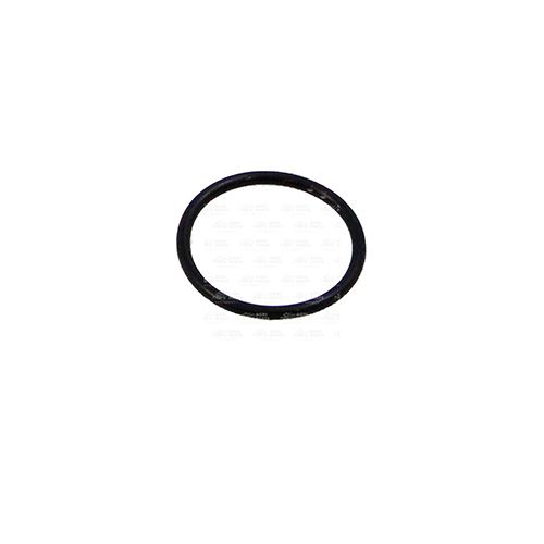 Кільце (18AP006662) Agri Parts S.R.L.