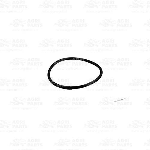 Кільце ущільнююче (18AP006724) Agri Parts S.R.L.