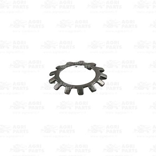 Шайба (18AP009900) Agri Parts S.R.L.
