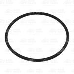 Кільце гумове (18AP010282) Agri Parts S.R.L.
