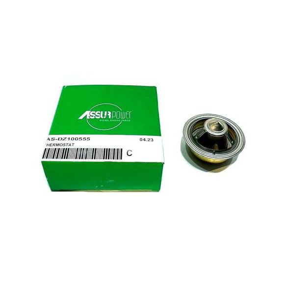 Термостат (DZ100555) Assur Power