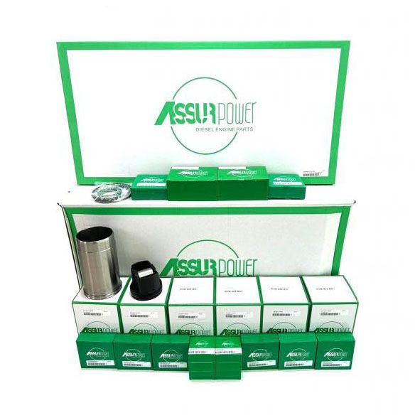 Ремкомплект двигуна (DZ114647) Assur Power