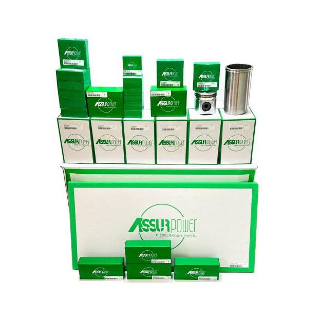 Ремкомплект двигуна (DZ114649) Assur Power