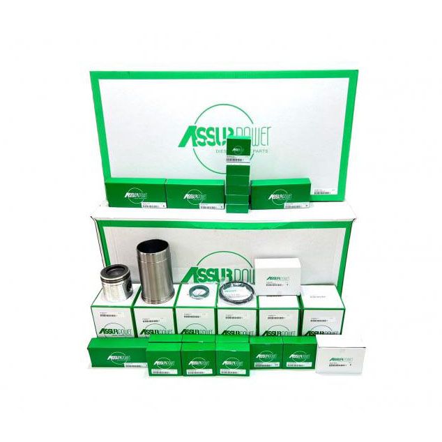 Ремкомплект двигуна (RE504202) Assur Power