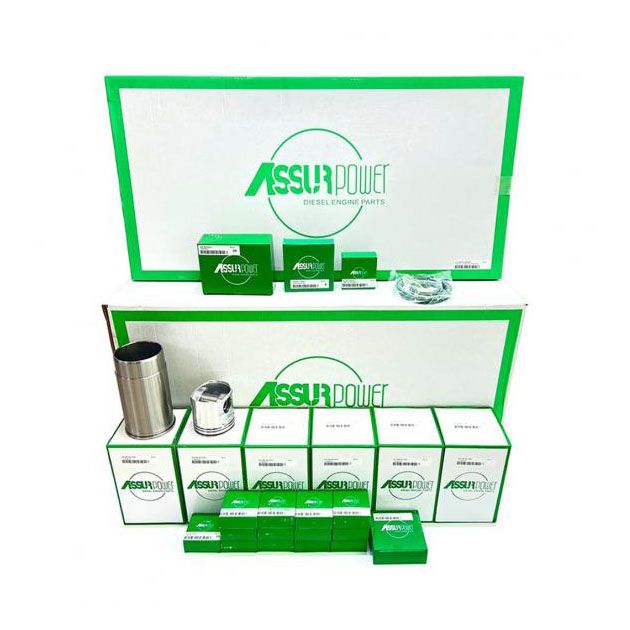Ремкомплект двигуна (RE66097) Assur Power